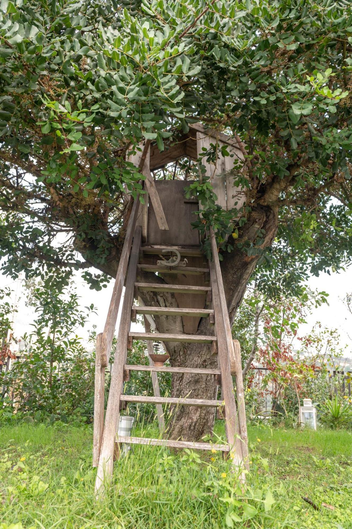 Villa Verney Albisola Superiore Exterior foto